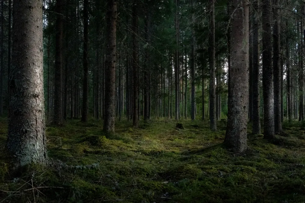 azbest gorzów wielkopolski